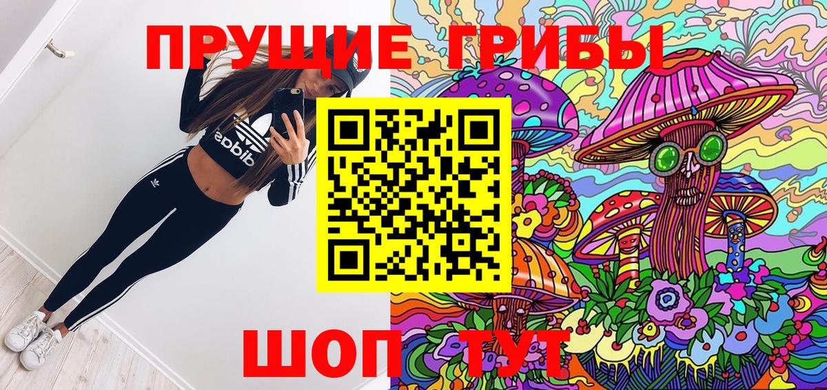 Аша  Галлюциногенные грибы Psilocybine cubensis  Вход с VPN 